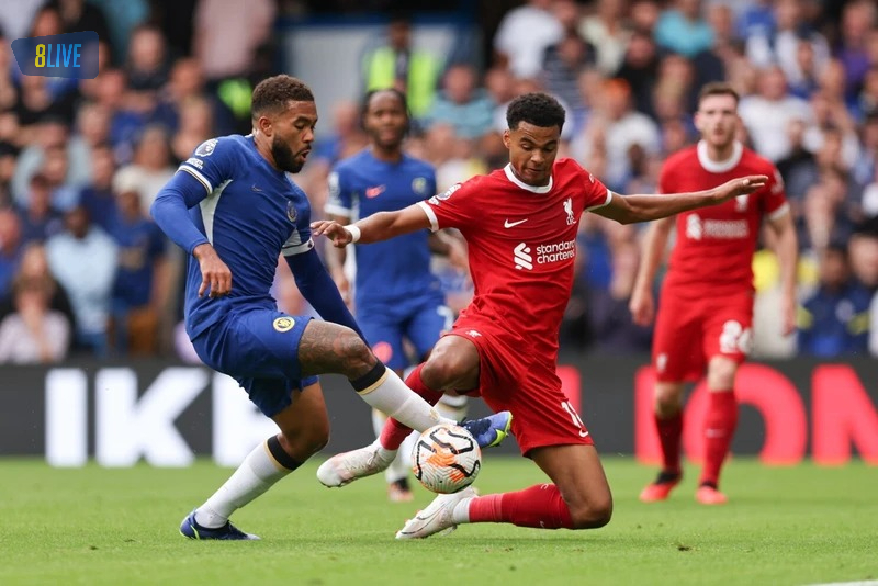 Ý nghĩa của màu đỏ trong văn hóa Liverpool